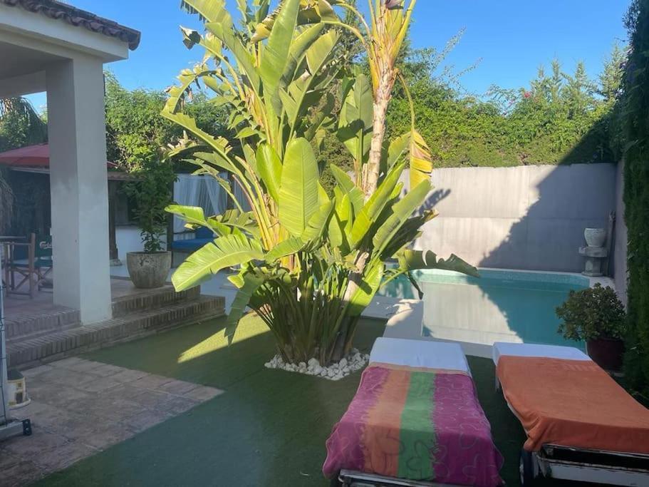 Atuaire Home Sevilla Mairena del Aljarafe Exterior foto