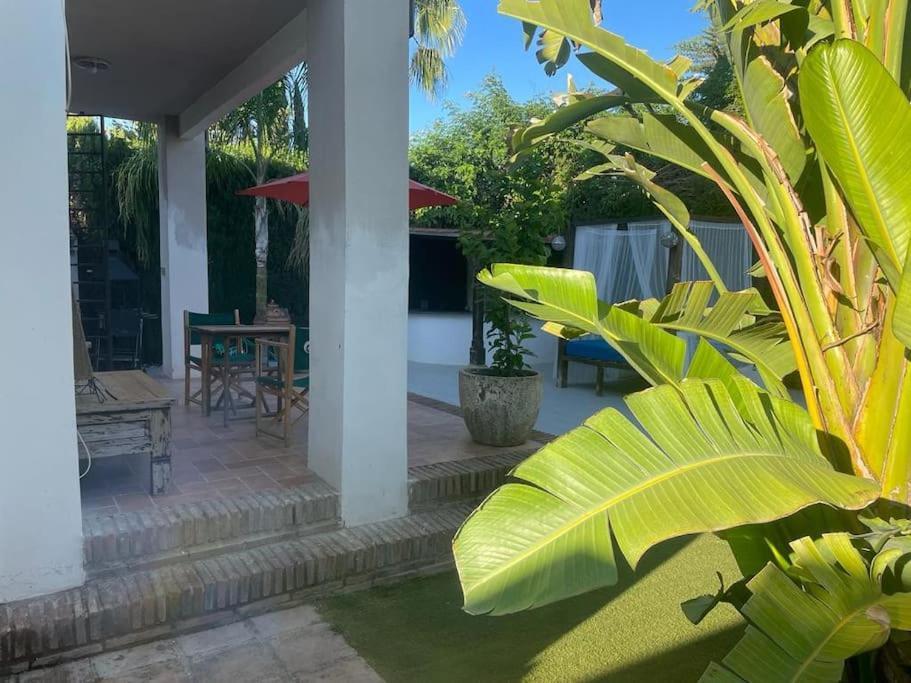 Atuaire Home Sevilla Mairena del Aljarafe Exterior foto